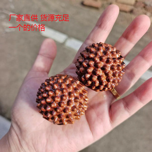 ���l�ϓ��S�������B�A������Ħ�������潡����ľ���ְѼ�