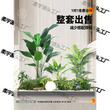�Gֲ�쾰�҃ȷ����ٻ��䲼���̨������P¶�I�L���^ֲ���쾰