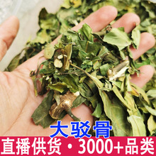 大驳骨 丹接骨木 大骨风 大还魂 小驳骨云南批发量大从优