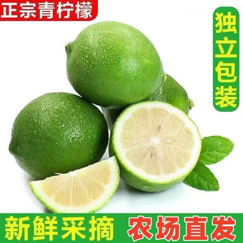 Wholesale Perfume Lemon Fresh Wild Green Lemon Seedless Large Fruit Special Fruit Seasonal Fruit Milk Tea Shop Special