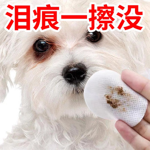 Pet Cleaning Tear Stain Wipes Cat Eye Drool Dog Tear Stain Eye Cleaning Sterile Warm and Others