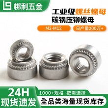 ̼䓰����ĸ�T����ĸ�T��ĸ������T���o�̼����T��ĸM2-M12