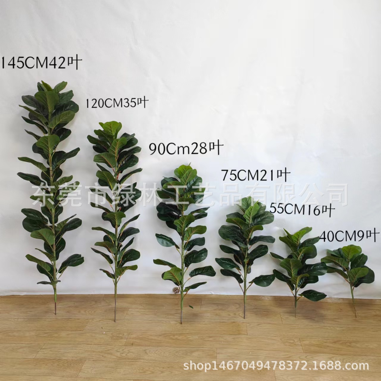 145cm42 잎
