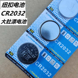 夜光漂大肚漂电池汽车电动车遥控钥匙CR2032纽扣电池渔具垂钓用品