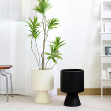 千年木創意高級感酒杯網紅百合竹大號水泥套盆北歐簡約落地花盆