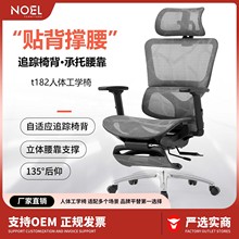 久坐人体工学电竞椅经理办公椅子学生护腰学习椅办公室电脑椅家用