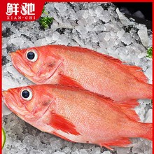 �tʯ���~�r�������t�~�����~��S���~�ك����rˮ�a�|�~���K�~