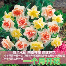 �ذ���ˮ�ɷN�� ��������ˮ������ˮ�ɻ��N��� ��ˮ�ɻ����