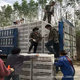 畜牧养殖机械;工农业塑料;肥料加工设备