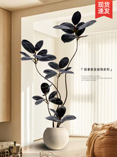 �ڽ�����Ƥ��Gֲ�҃�ɳ�l�Լ�ֲ��������Դ��Ϳ͏d��ؔ[��