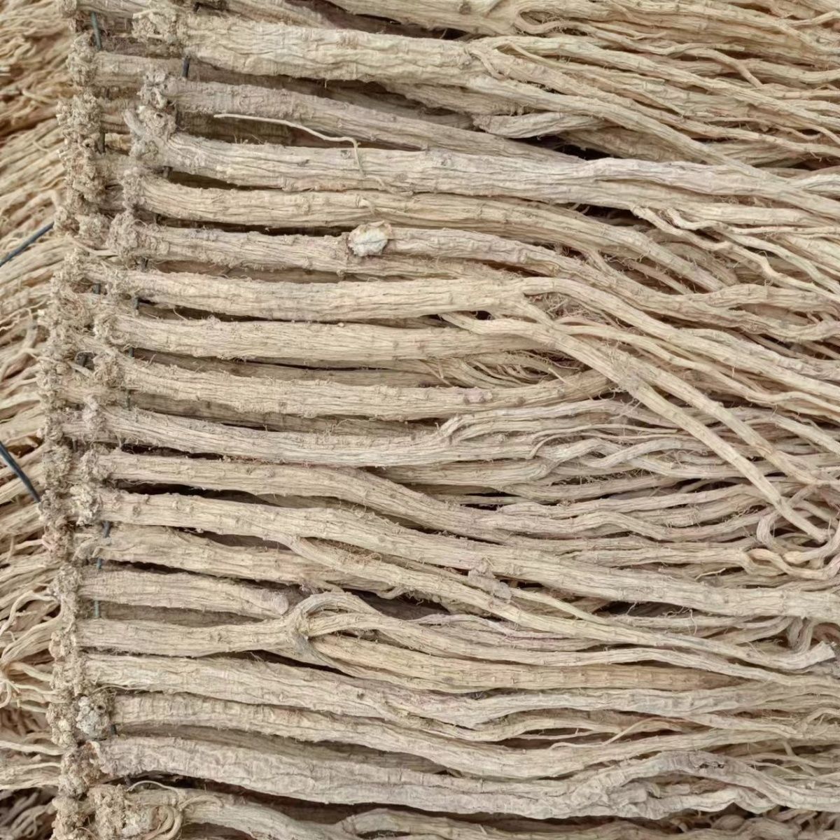 Dried Codonopsis Root Whole Dang Shen 500g for Tea and Soup quality and texture