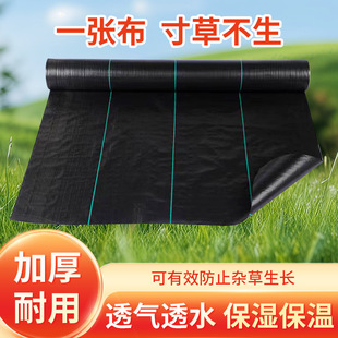 Anti-grass cloth 80g anti-grass cloth anti-aging new cloth weeding cloth pp fruit agricultural cover grass factory wholesale