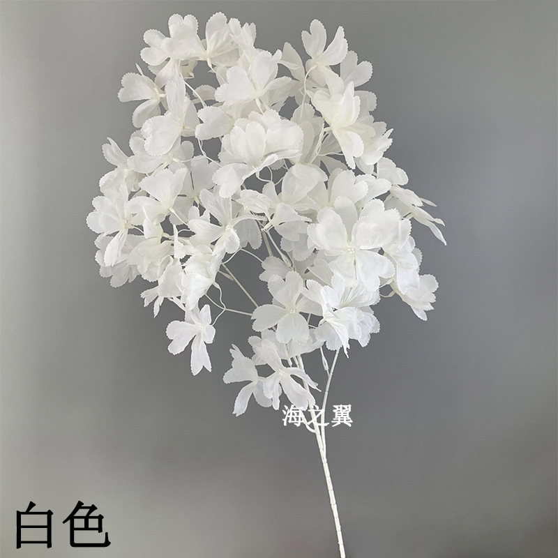 화이트