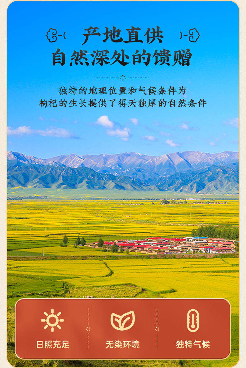 Ningxia Goji Berries Gou Qi Zi Premium Grade Large Berry Sun Dried No Sulfur 250g x 2 Jars for Tea Wine and Cooking key features