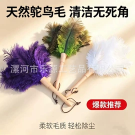 除尘掸;DIY服饰;羽毛、羽绒