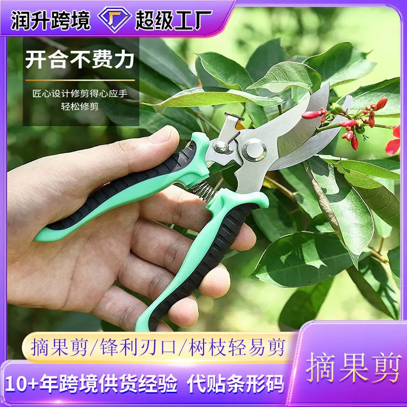 不锈钢园艺剪刀鲜花修枝剪刀采摘神器果树树枝园林花卉用剪刀工具