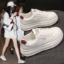 透气厚底新款春季女鞋