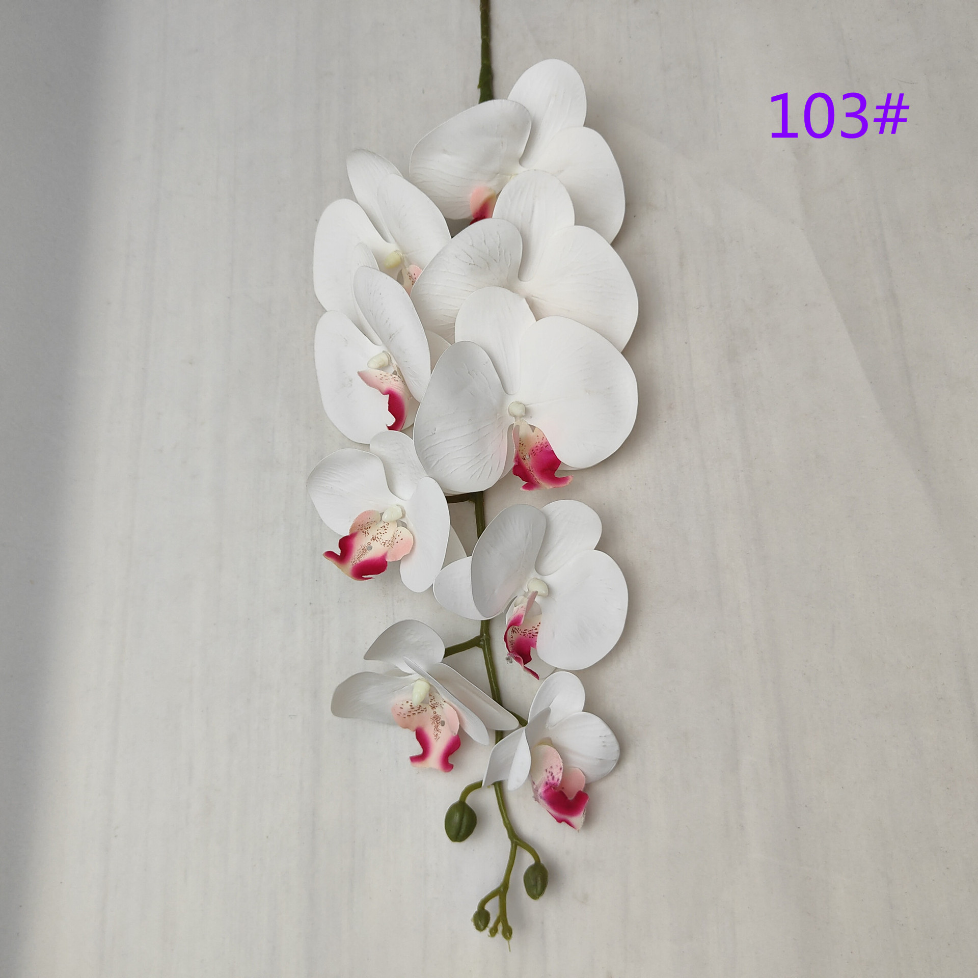 IMG20230509162835_副本