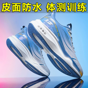 �п��w���w�y�\��Ь��Ƥ���ˮ���������p��̼��������͸���ܲ�Ь