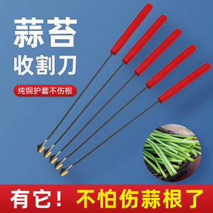 Garlic Shoot Harvesting Knife Tool for Harvesting Garlic Shoots