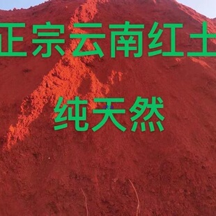 �t�����N�m���軨����t�����w�����ԠI�B���л��u���~��ճ��ֲ��