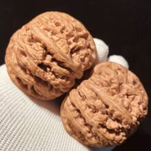 �Zˮ���rһ��؛Դ�����Һ˴�ֽƷ���� ���ұP��37-50���P�