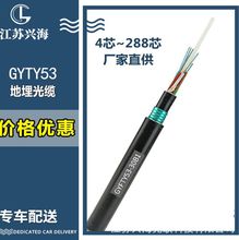 GYTY53-36B1���|�����X  �F؛����GYTY53-36B1���| �����z�b����