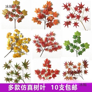 �t���~�@�ֹ����b���ͩ���~�ә����y���~�＾��֦��ɽ���~