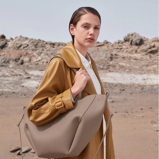 Polene Bucket Handbag Women's Bag Hand Carrying New Wings Tote Cyme Cowhide Handbag Simple Fashion