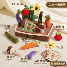 �����r���ΰΘ��냺���}��0-1�që�q������ż���׃��ɿ�ҧ�羳