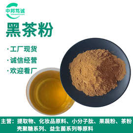 黑茶粉 黑茶茶汤喷干粉 水溶黑茶粉 黑茶茶粉 茶多酚 工厂现货