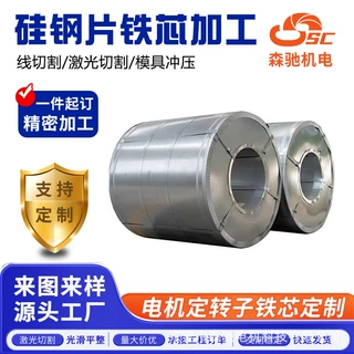 精密电机铁芯电子加工 矽钢片叠片冲片 工控家电铁芯来图非标定制