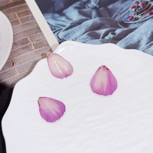 ԭ��������Ȼ��ɣ������Ѻ���˱����z���ƷС��DIY���h�����