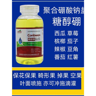 �Ǵ�����M��ѿ�ֻ����������A�����ι�������������Ʋ�ݮ���Ϸ�