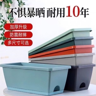 �߲�ݮ�̨�ش�̖�����̨�N���������Լ�ͥ�L���ηN���茣����