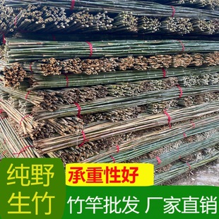 Colorful Flag Flagpole Bamboo Pole Vegetable Garden Climbing Rack Anti-corrosion Rack Rack Rack Vegetable Garden Rack Cucumber Bean Bamboo Pole Support