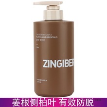 莱欧草本蓬松滋养洗发乳姜根侧柏叶有效蓬松强根滋养洁净蓬松清爽