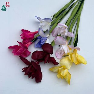 �Sβ ��Ⱦ�����z�Sβ ��cӭ�e�^�쾰�ٻ� ��Y�õ��Ų廨���滨