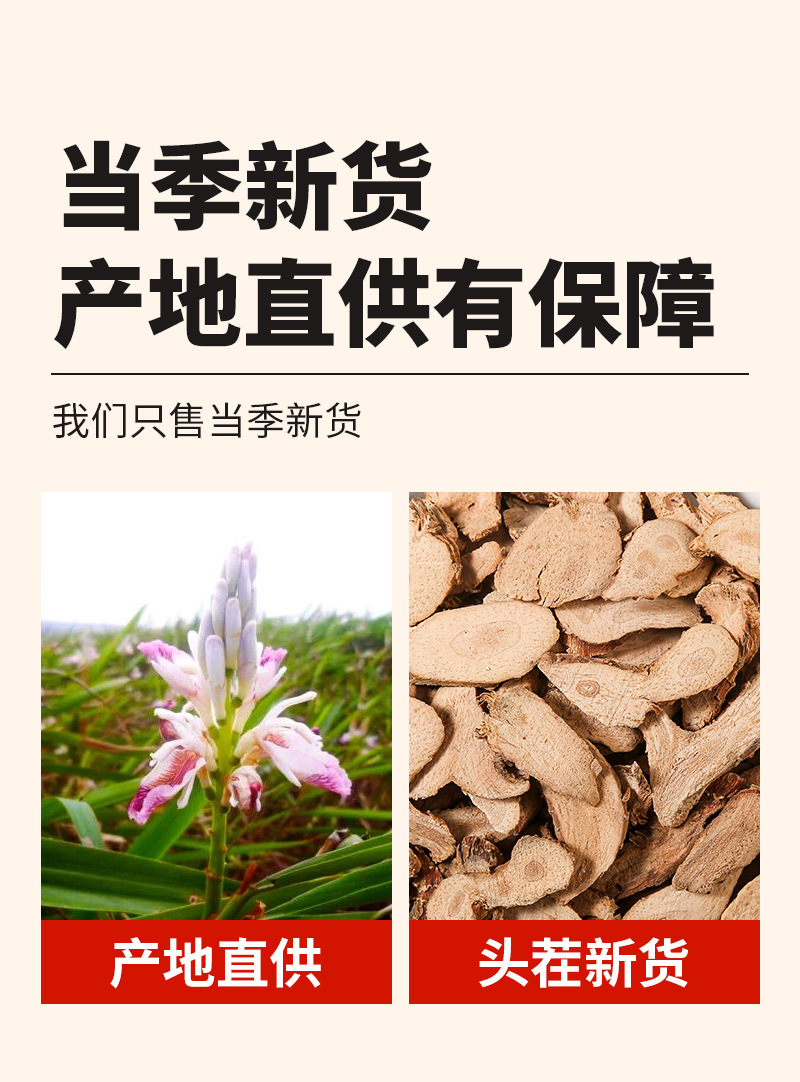 Gao Liang Jiang (Alpinia officinarum) — Dried Galangal Rhizome, 50g Pouch for Culinary & Herbal Use quality and texture