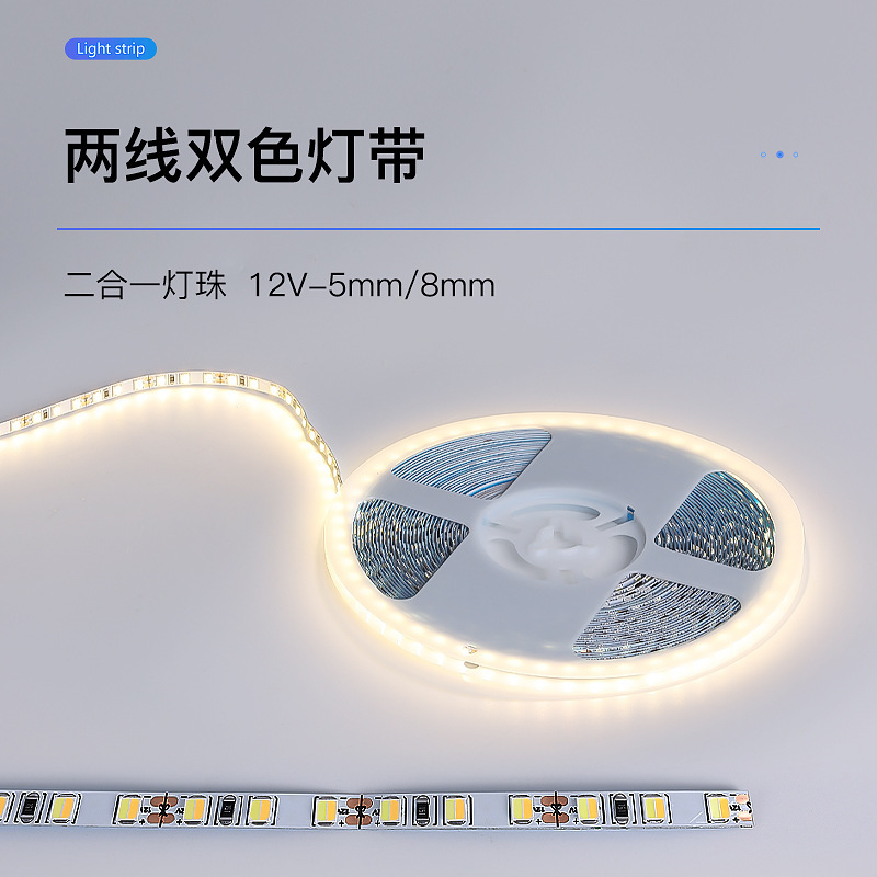 2 선 2 색 온도 2835 램프 2 대 1 5MMLED 전기 도금 플레이트 저전압 12V 지능형 3 색 디밍 선형 램프