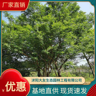 �������l �Ԯa���N���ܘ��� ���^�쾰��·�@�ֹ��̾G����