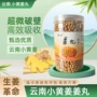 云南生熟正品食用小黄姜
