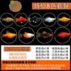 1 each of 8 classic colors, a total of 8 free fish food