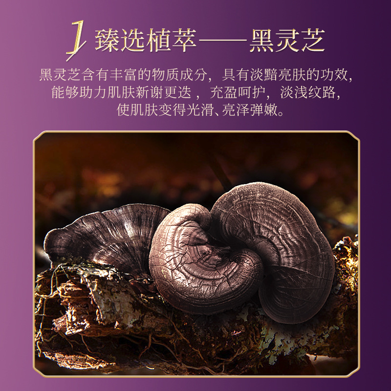 韓美肌靈芝柔潤保濕補水護膚品套裝緊緻亮膚水乳霜全套化妝品批發