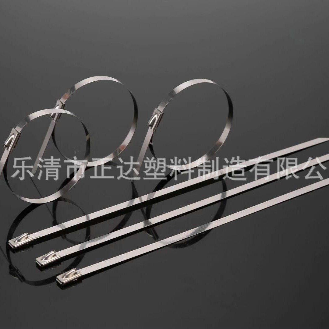 不锈钢7.9mm新款扎带 新款黑色不锈钢扎带 不锈钢标牌扎带