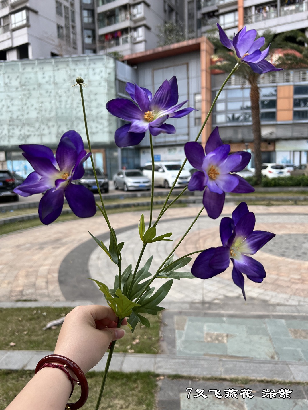 다크 퍼플