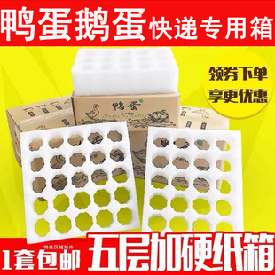 ������/�Z�����b�������޼Ŀ��f���b��ˤ��ײ�����Z�����b��