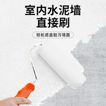 室内水泥墙面专用乳胶漆清水毛坯房墙面漆艺术墙上粉刷涂料工业风