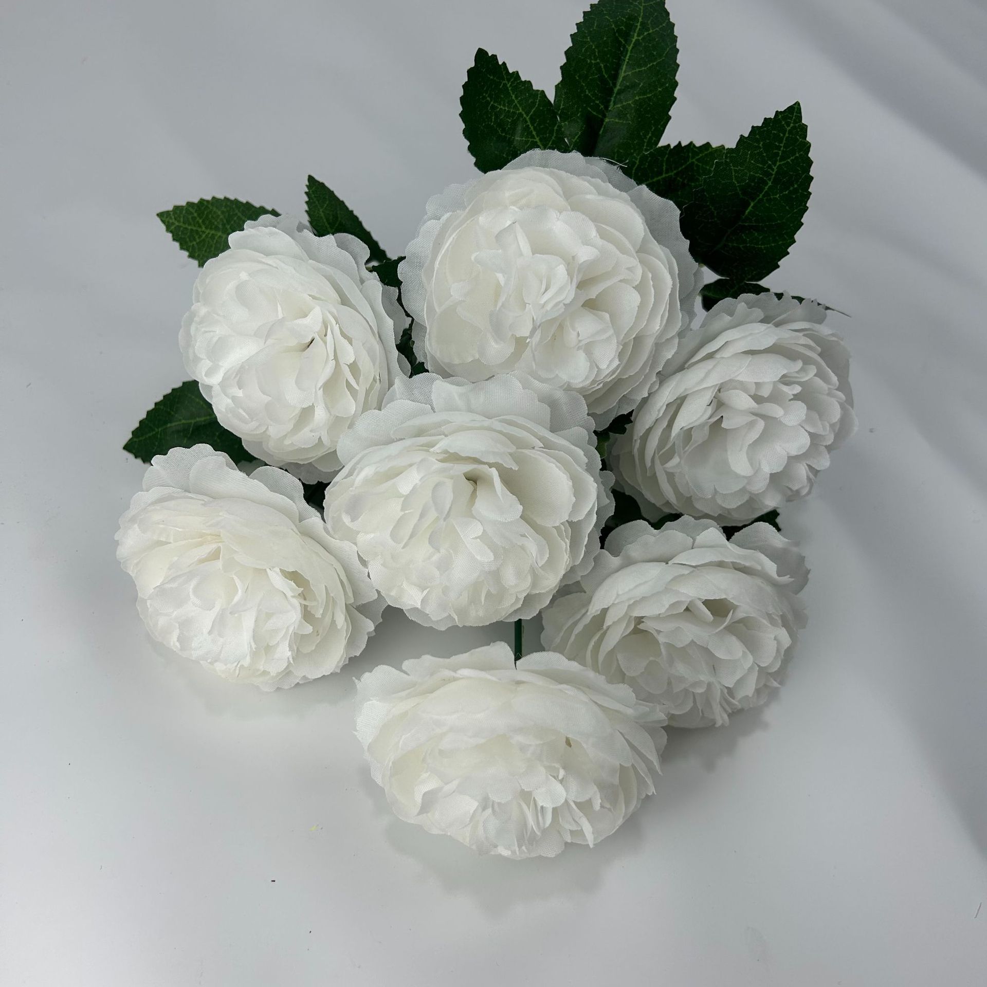 순수한 흰색