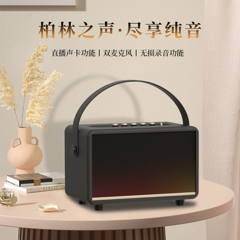Karaoke Bluetooth Speaker with Microphone for Outdoor Singing, Family Gatherings, Ktv Wireless Audio, Sound Card, Outdoor Lawn